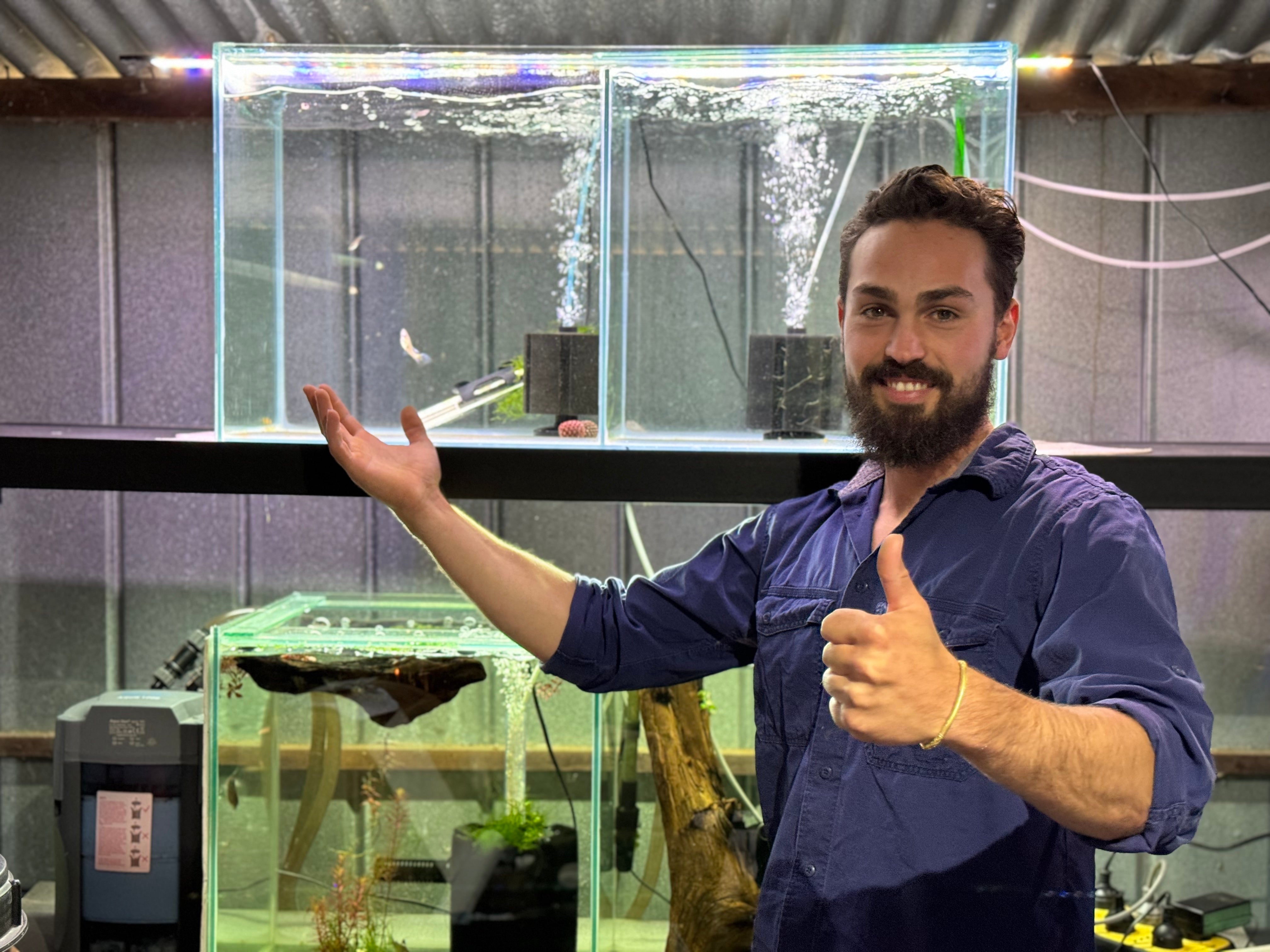 DALUA Fishroom - Building Australia's Best Fishroom
– Dalua Fishroom