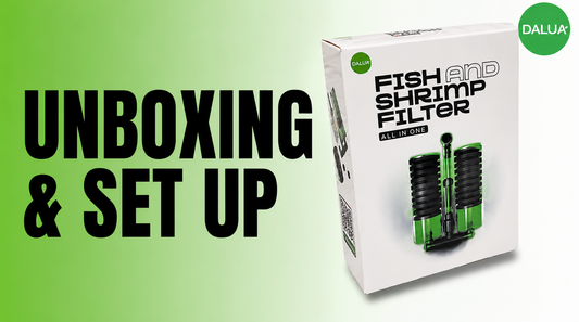 How To Set Up The Fish & Shrimp Filter