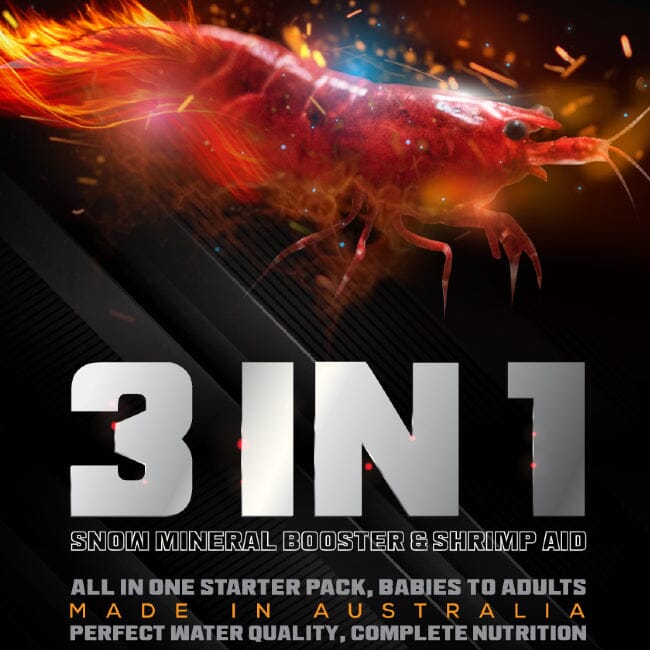 Shrimp 3 in 1 Starter by SAS shrimp food DaluaAustralia 