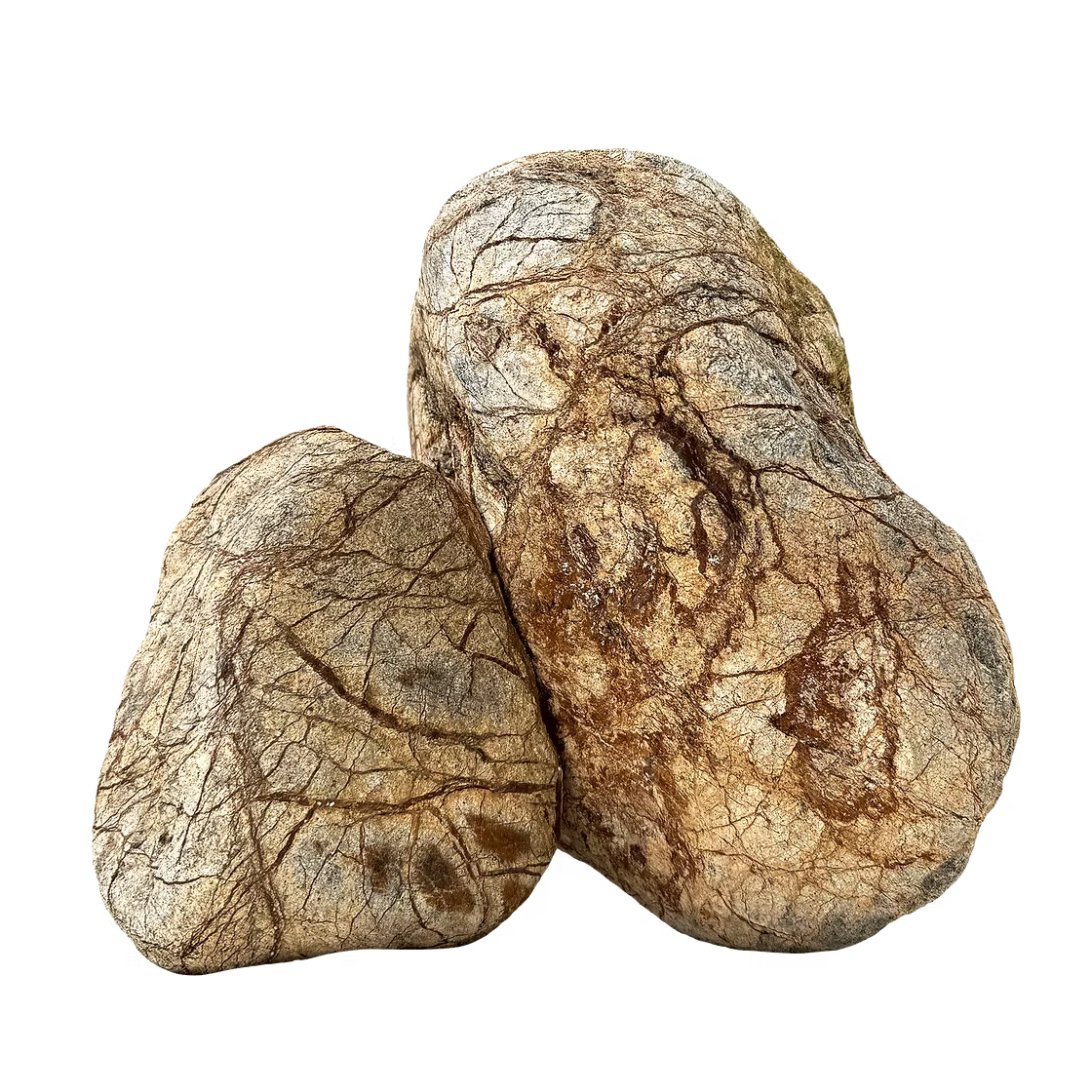 WIO - Zombie Boulder Stone Wood and Rock WIO 