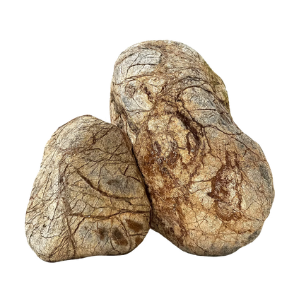 WIO - Zombie Boulder Stone Wood and Rock WIO 