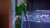 Siphon + Water Change Kit