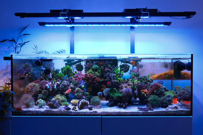 X4 + Rear Arm LED Bundle aquarium lighting bundle DALUA 