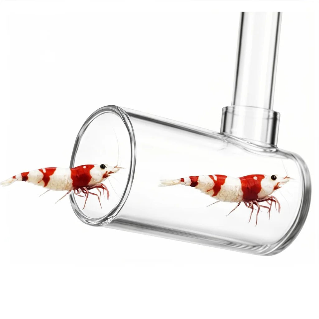 Fish and Shrimp Catcher - Extendable