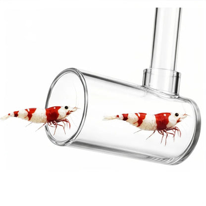 Fish and Shrimp Catcher - Extendable
