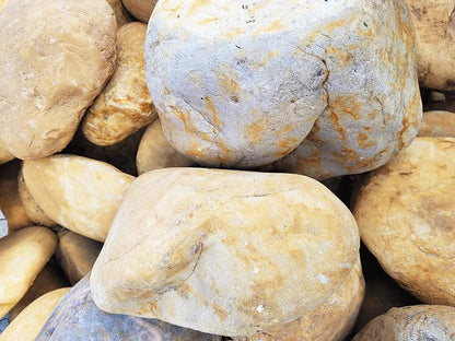 WIO - Bumblebee Boulder Mega Box Set 22kg Wood and Rock WIO 