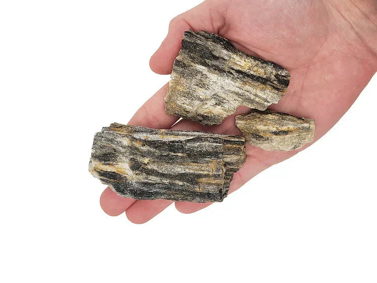 WIO - Grey Fossil Wood - Nano Rock 2kg Wood and Rock WIO 
