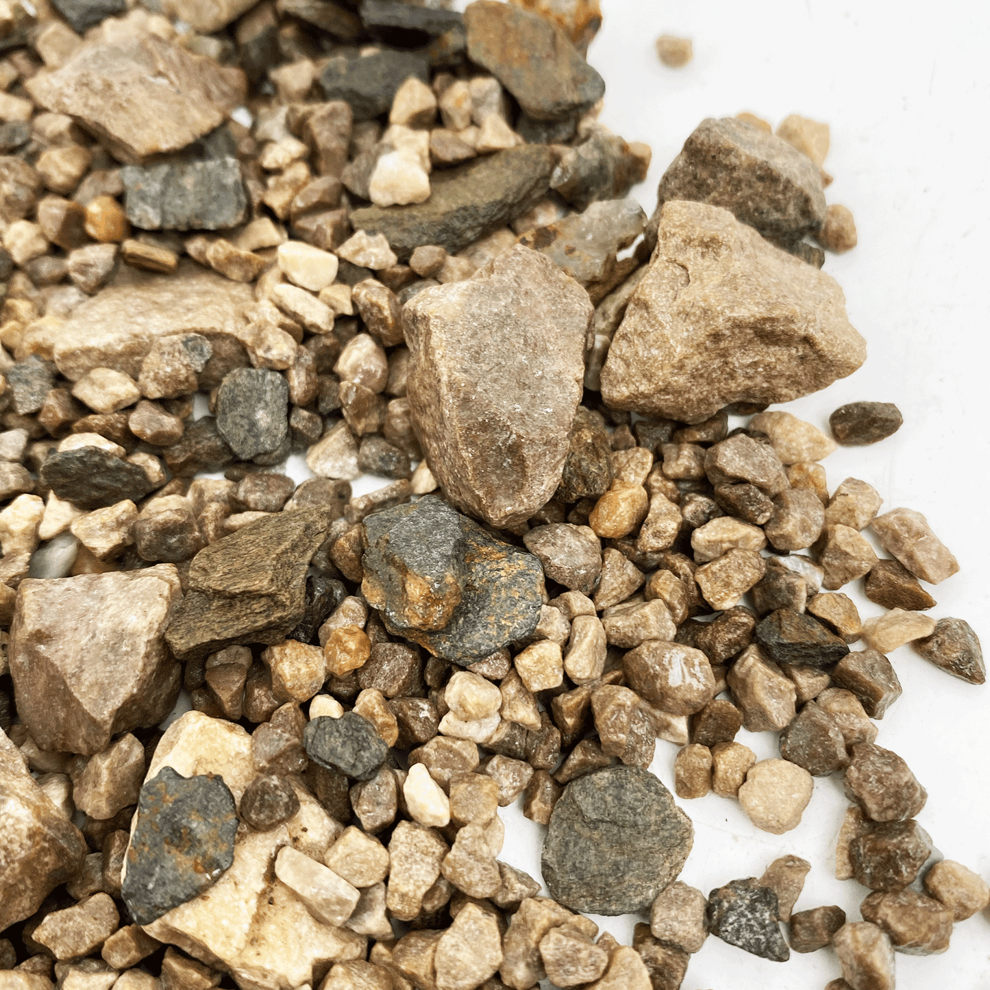 WIO - Accent Crushed Stones Wood and Rock WIO Brown 1.6lbs 