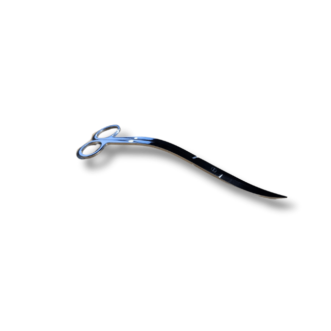 Aquascaping Scissors Double Curved 25cm aquascaping scissors DALUA 