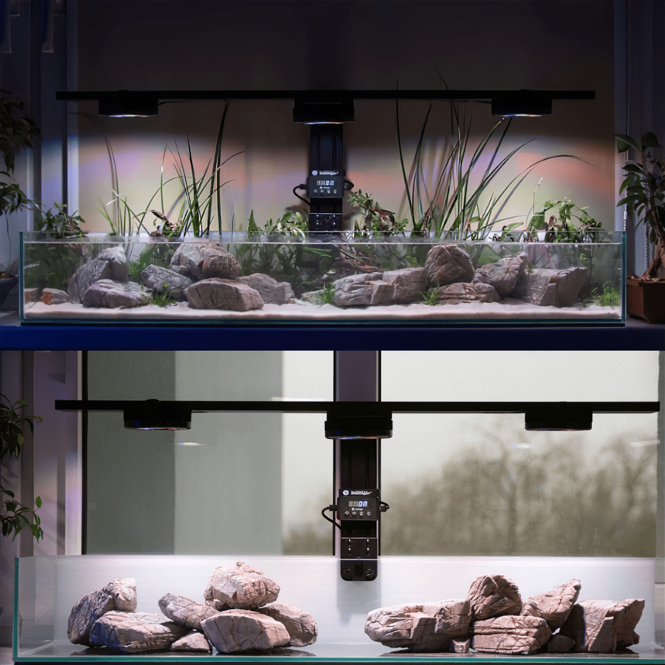 Pixel LED Bundle Freshwater lighting bundle pack DALUA 