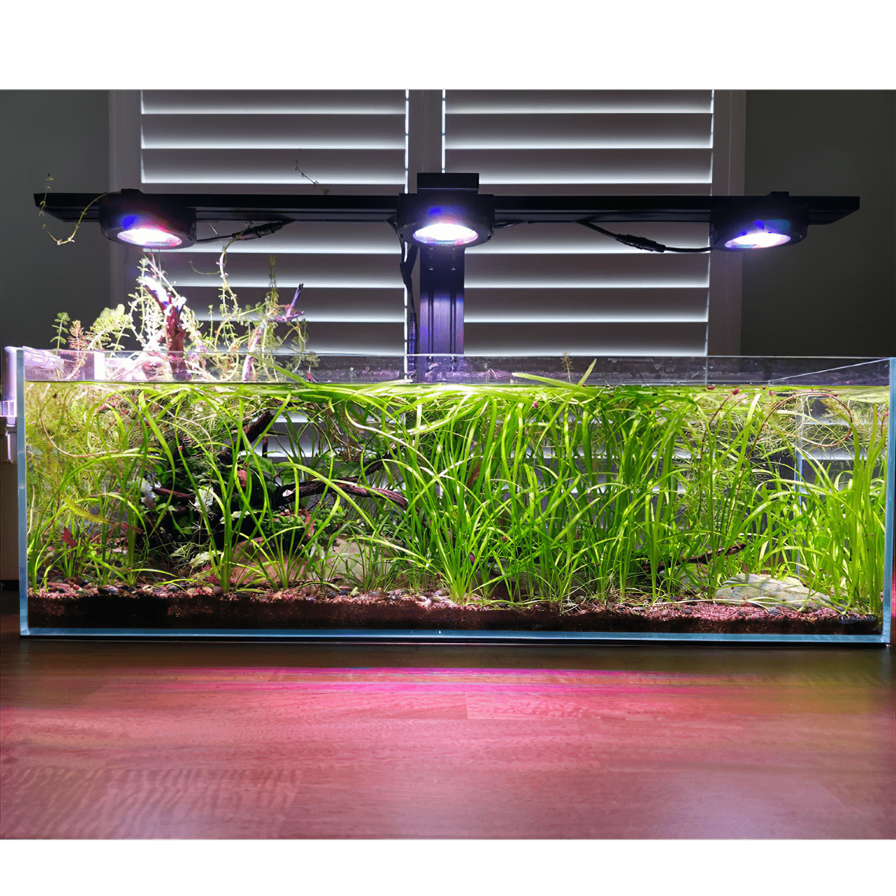 Pixel LED Bundle Freshwater lighting bundle pack DALUA 