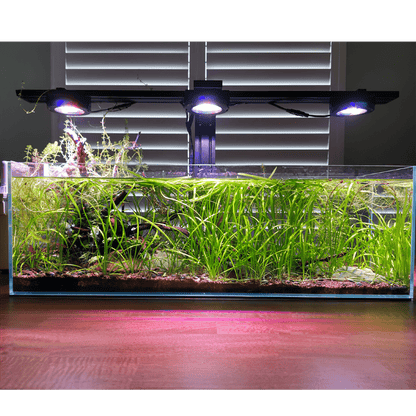 Pixel LED Bundle Freshwater lighting bundle pack DALUA 