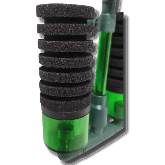 Fish, Shrimp & Quarantine Filter filter DaluaAustralia 