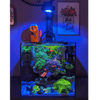 Dual Pixel LED Bundle lighting bundle pack DALUA 
