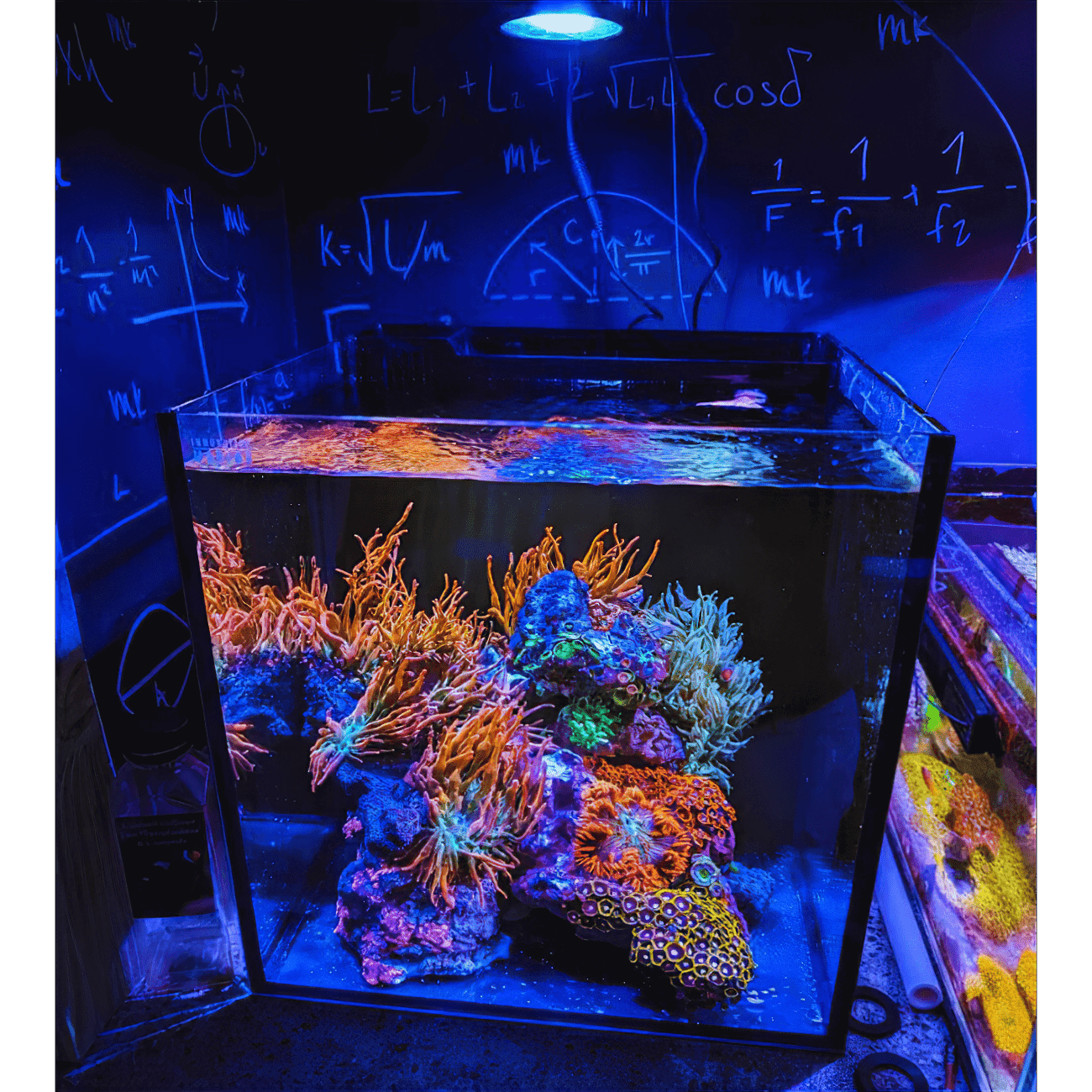 Nano Pixel LED Bundle lighting bundle pack DALUA 