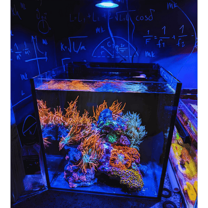 Nano Pixel LED Bundle lighting bundle pack DALUA 