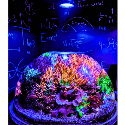 Nano Pixel LED Bundle lighting bundle pack DALUA 