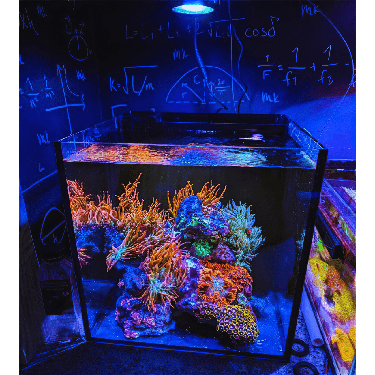 Pixel LED Bundle lighting bundle pack DALUA 