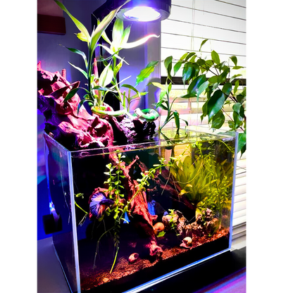 Pixel LED Bundle lighting bundle pack DALUA 