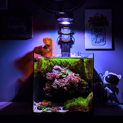 PIXEL LED BUNDLES lighting bundle pack DALUA 