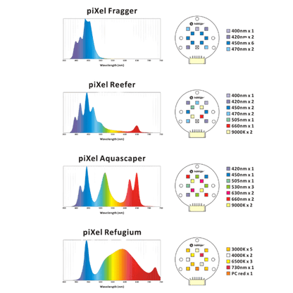 Single Pixel LED Bundle lighting bundle pack DALUA 