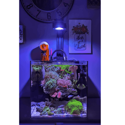 Pixel LED Bundle lighting bundle pack DALUA 