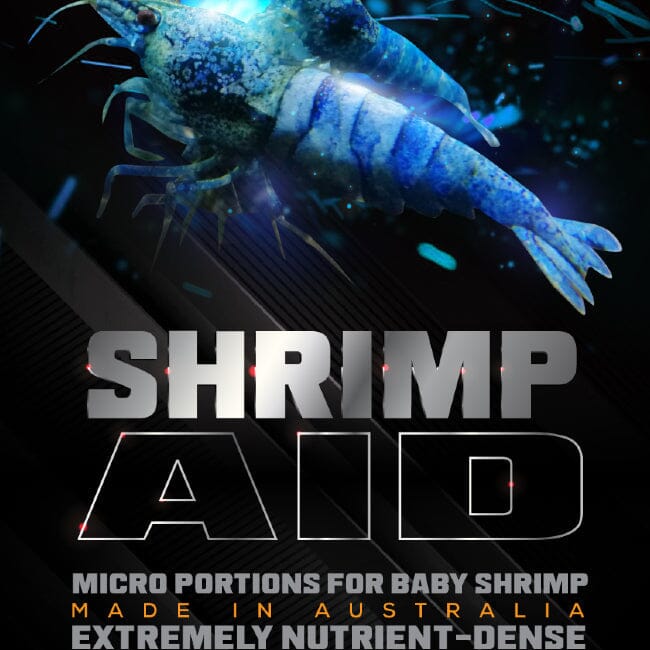 Shrimp Aid SAS DaluaAustralia 