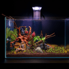 The Tini Aquascaper LED lighting bundle pack DALUA 